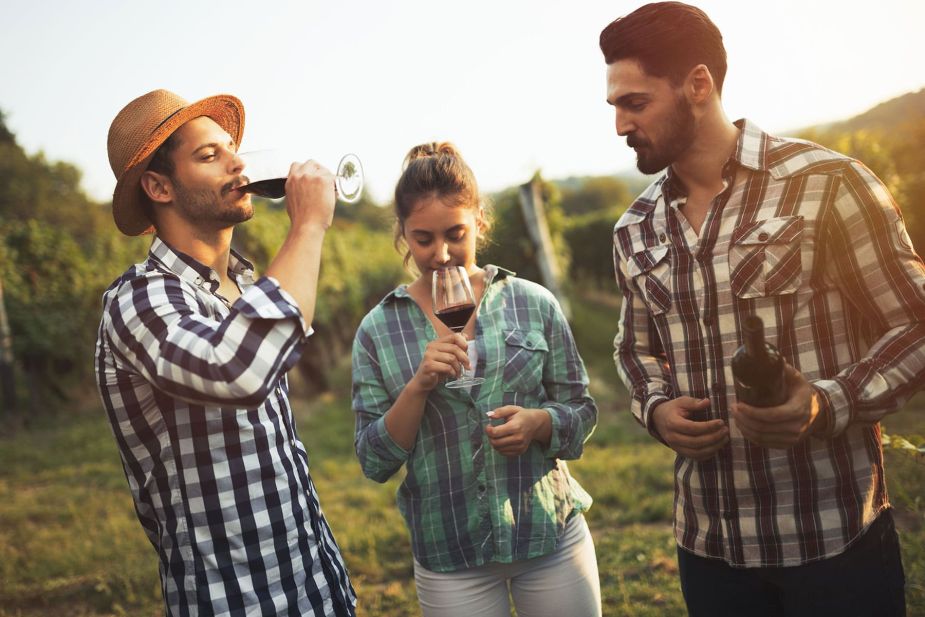 Tour degustazione vini campani