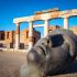 Visita guidata a Pompei con Vera Astuni